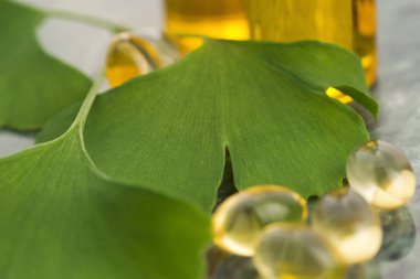 Gerekli yağlı ginkgo