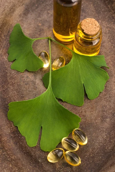 Ginkgo Met Etherische Olie — Stockfoto