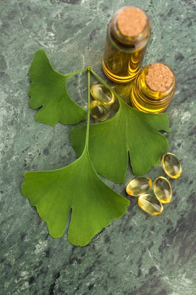 Ginkgo Con Olio Essenziale — Foto Stock