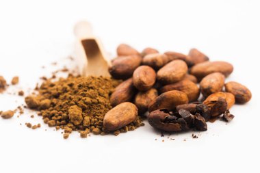 Kakao fasulyesi ve kakao tozu.