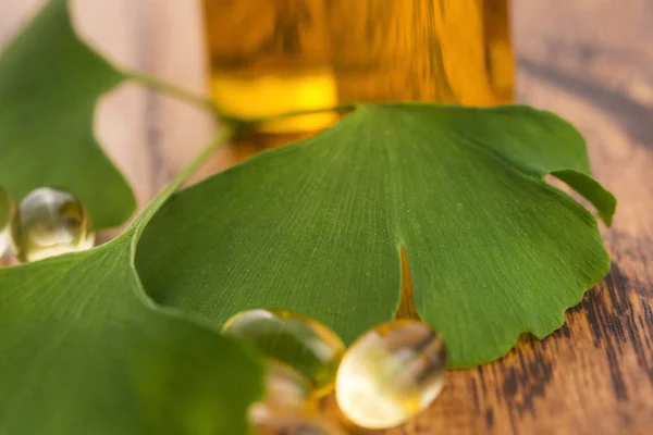 Ginkgo Essential Oil — Stock Photo, Image