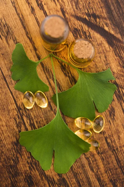 Ginkgo Con Olio Essenziale — Foto Stock