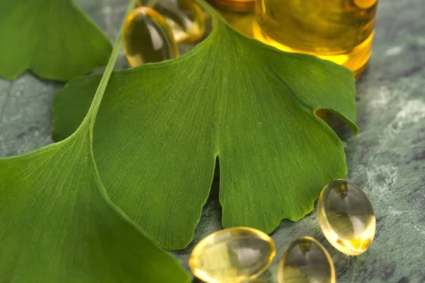 Ginkgo Con Olio Essenziale — Foto Stock