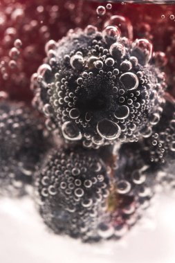 Bubbles ve meyve su altında