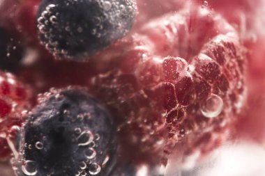 Bubbles ve meyve su altında