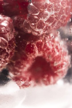 Bubbles ve meyve su altında