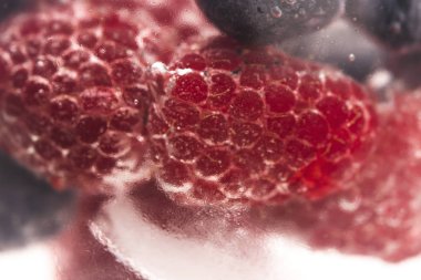 Bubbles ve meyve su altında