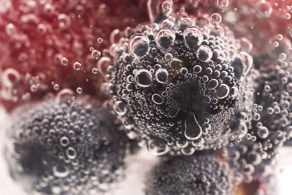 Bubbles ve meyve su altında