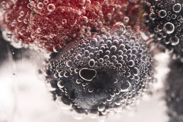 Bubbles ve meyve su altında