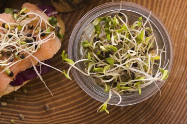 esrar spouts çanak. Superfoods