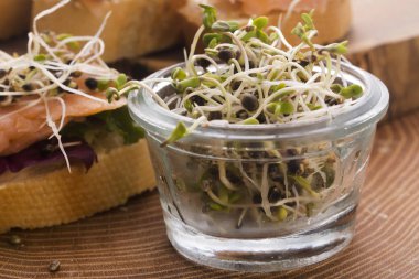 esrar spouts çanak. Superfoods