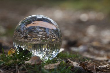 bir darbe cam ile orman