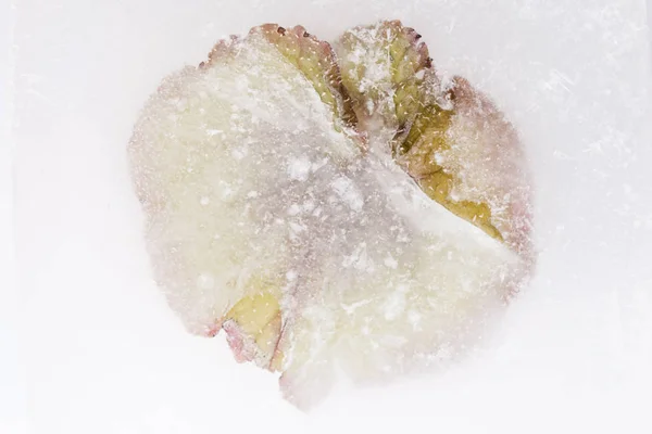 Frozen Flowers Blossoms Ice Cube — Stock Photo, Image