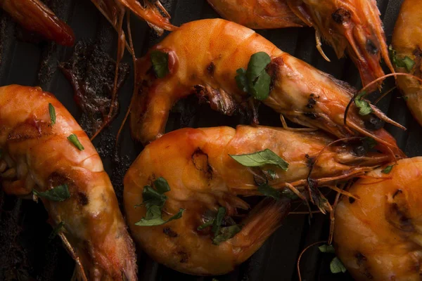 Grilled Shrimps Tomato Sauce — Stock Photo, Image