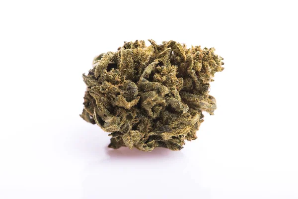 Dry marijuana bud on white background — Stock Photo, Image