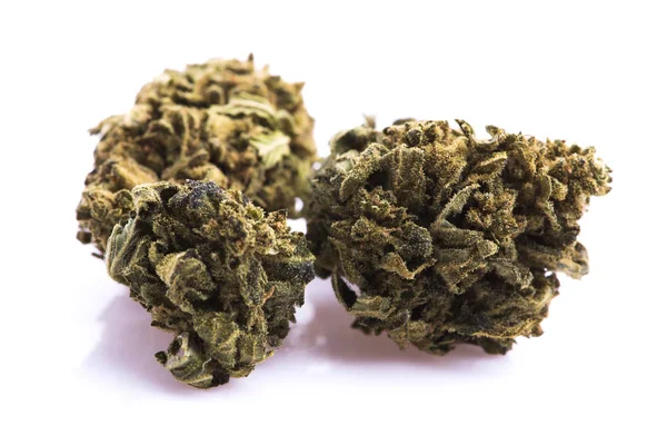 Trockene Marihuana-Knospe auf weißem Hintergrund — Stockfoto