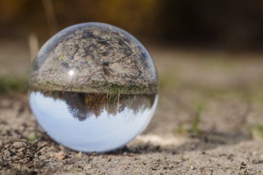 bir darbe cam ile orman