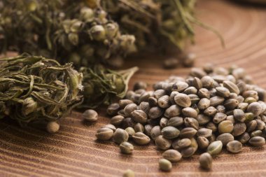 Esrar özü yaprakları ile