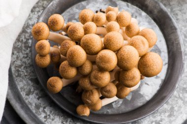 kahverengi kayın mantar, shimeji mantar