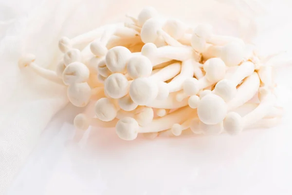 White Beech Mushrooms Shimeji Mushroom — Stock Photo, Image
