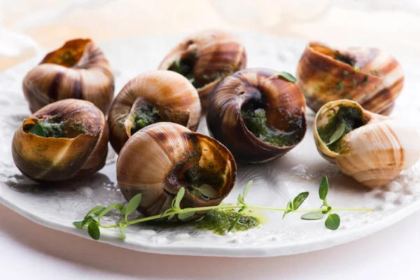 Bandeja Escargot Deliciosa Delicatessen Francesa —  Fotos de Stock