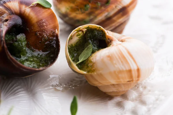 Bandeja Escargot Delicioso Delicatessen Francês — Fotografia de Stock