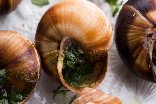 Bandeja Escargot Deliciosa Delicatessen Francesa —  Fotos de Stock