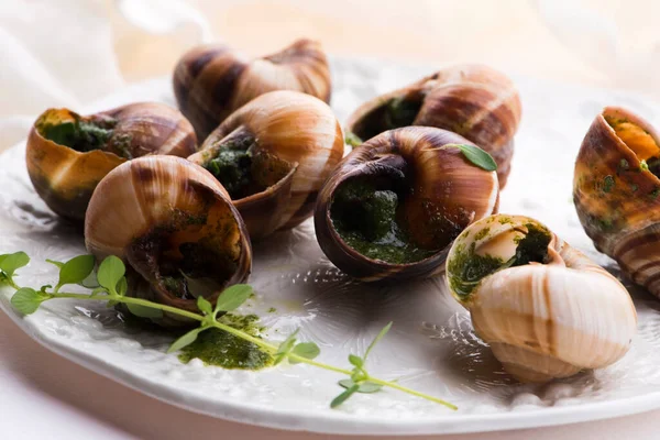 Bandeja Escargot Deliciosa Delicatessen Francesa —  Fotos de Stock