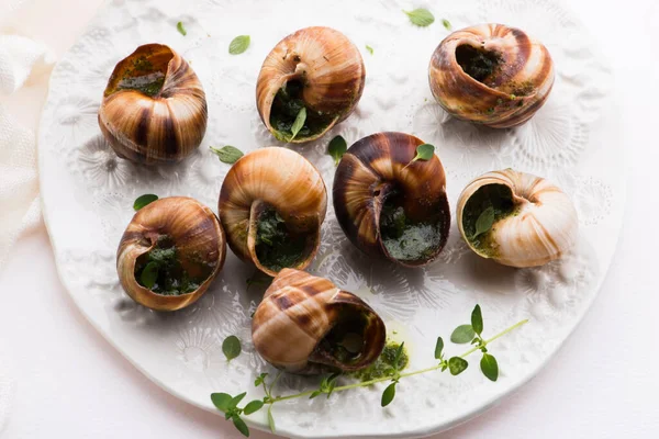 Bandeja Escargot Delicioso Delicatessen Francês — Fotografia de Stock
