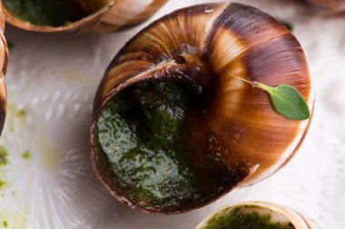 Salyangoz tabağı, lezzetli Fransız şarküteri.