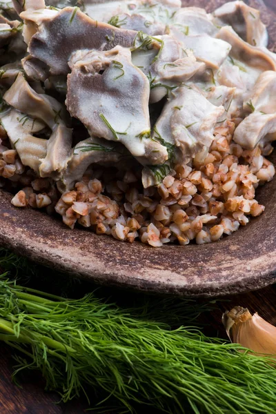 Stomaco Tacchino Stufato Con Verdure Grano Saraceno Una Ciotola — Foto Stock