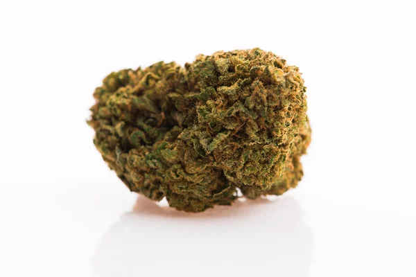 Cannabis Sativa Blütenknospen Isoliert Auf Weißem Hintergrund Stockbild