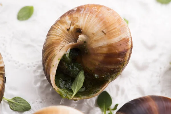 Bandeja Escargot Deliciosa Delicatessen Francesa —  Fotos de Stock