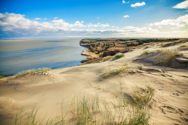 Sandy Grey Kumulları Nida, Neringa, Litvanya 'daki Curonian Spit' te