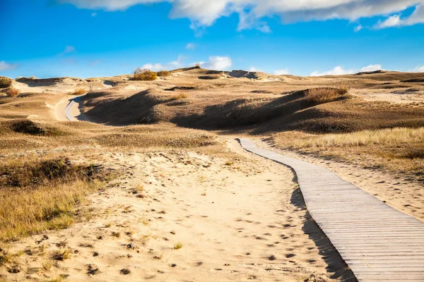 walking path in the nature reserve with sand dunes in Curonian Spit, Lithuania