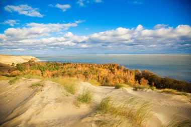 Curonian Spit Nida, Neringa, Litvanya dunes sonbaharda