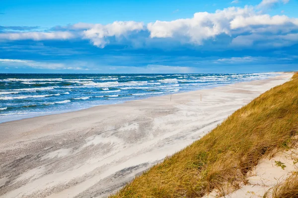 Baltık Denizi Curonian Spit Litvanya Rüzgarlı Sonbahar — Stok fotoğraf