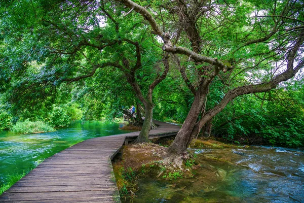 Деревянная Дорожка Красивом Зеленом Национальном Парке Крка Хорватия — стоковое фото
