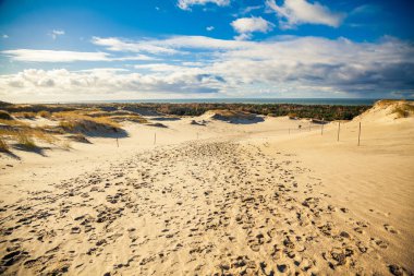 kumlu gri Dunes adlı Curonian Spit, Litvanya yataydan