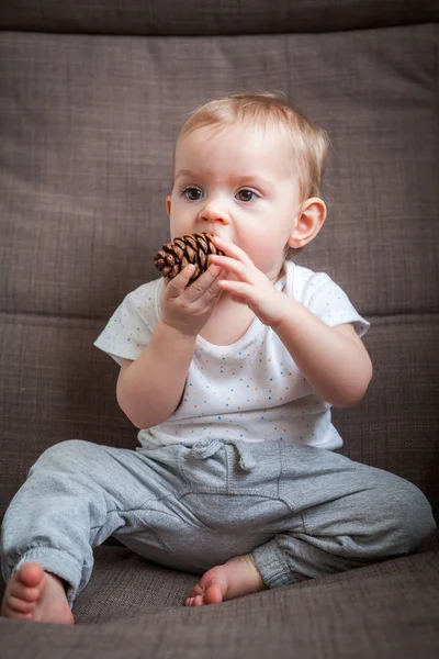 Pequena Menina Roendo Cone Pinho — Fotografia de Stock