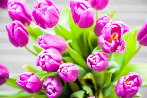 Close Bunch Fresh Closed Purple Tulips — Stock Photo, Image