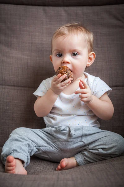 Portrait Baby Girl Gnawing Pine Cone — Stock Photo, Image