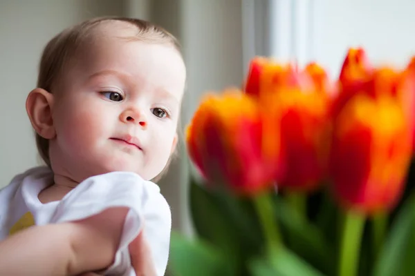 Portrét Malé Děvčátko Při Pohledu Červené Tulipány — Stock fotografie