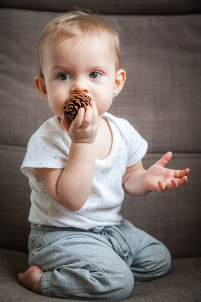 Carino Bambina Rosicchiare Una Pigna — Foto Stock