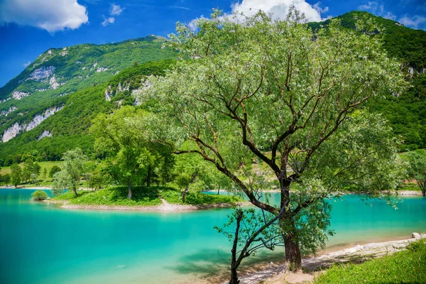 Grüne Bäume und türkisfarbenes Wasser — Stockfoto