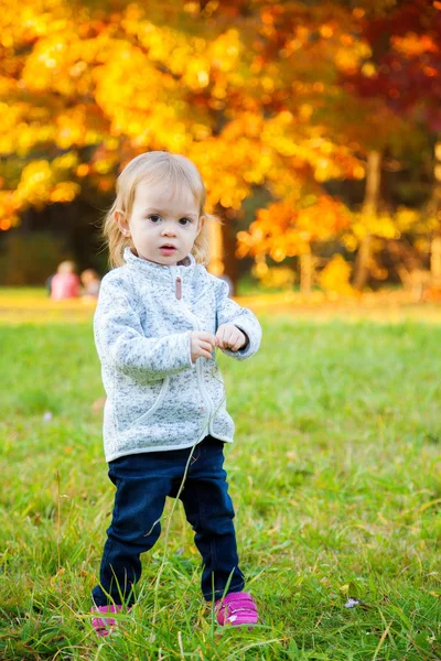 Sonbahar parkında yürüyen kız bebek — Stok fotoğraf
