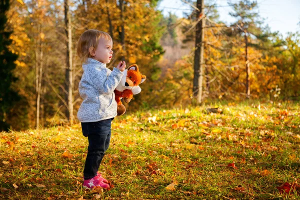 Дівчина в сонячному осінньому лісі — стокове фото