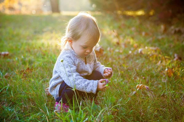 Baby girl picking a flower — Stock Photo, Image