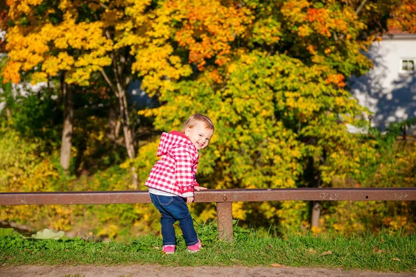 Sonbahar parkta gülen bebek kız — Stok fotoğraf