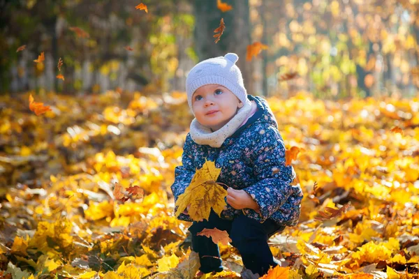 Babymädchen schaut auf die herabfallenden Blätter — Stockfoto